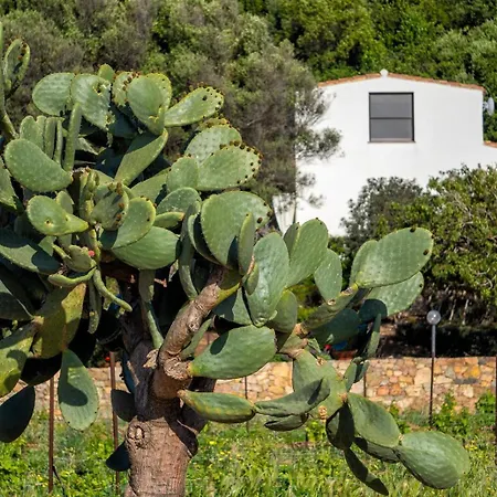 La Pavoncella 2 Apartmán