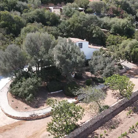 Apartment La Pavoncella 2 *