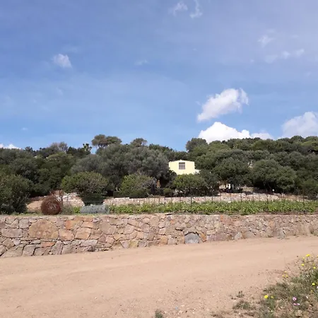 La Pavoncella 2 *