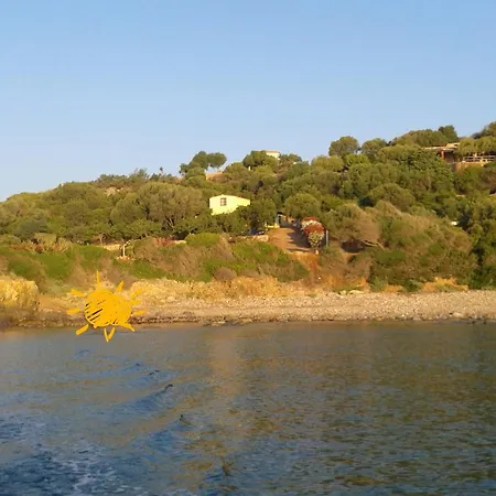 La Pavoncella 2