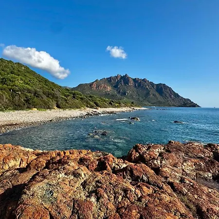 La Pavoncella 2 Lejlighed *