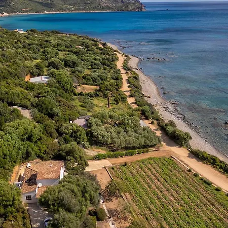 La Pavoncella 2