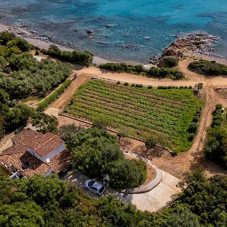 La Pavoncella 2 *
